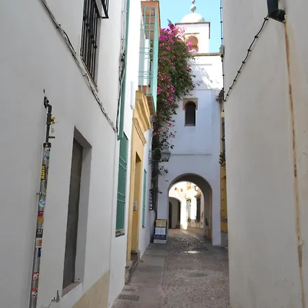 Sunshine Patio De La Hoguera Apartment Cordoba Exterior photo