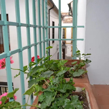 Sunshine Patio De La Hoguera Apartment Cordoba Exterior photo