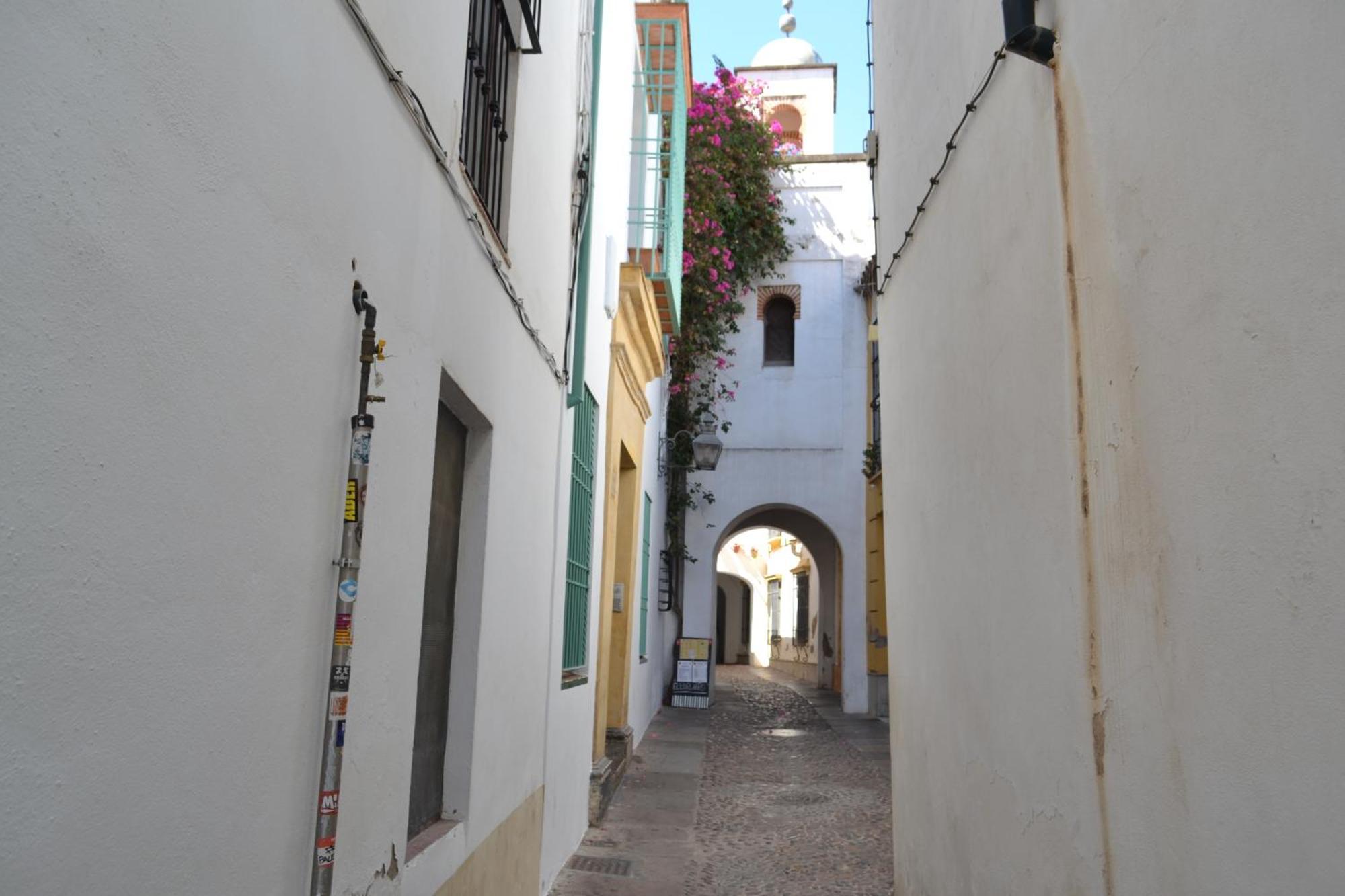 Sunshine Patio De La Hoguera Cordoba
