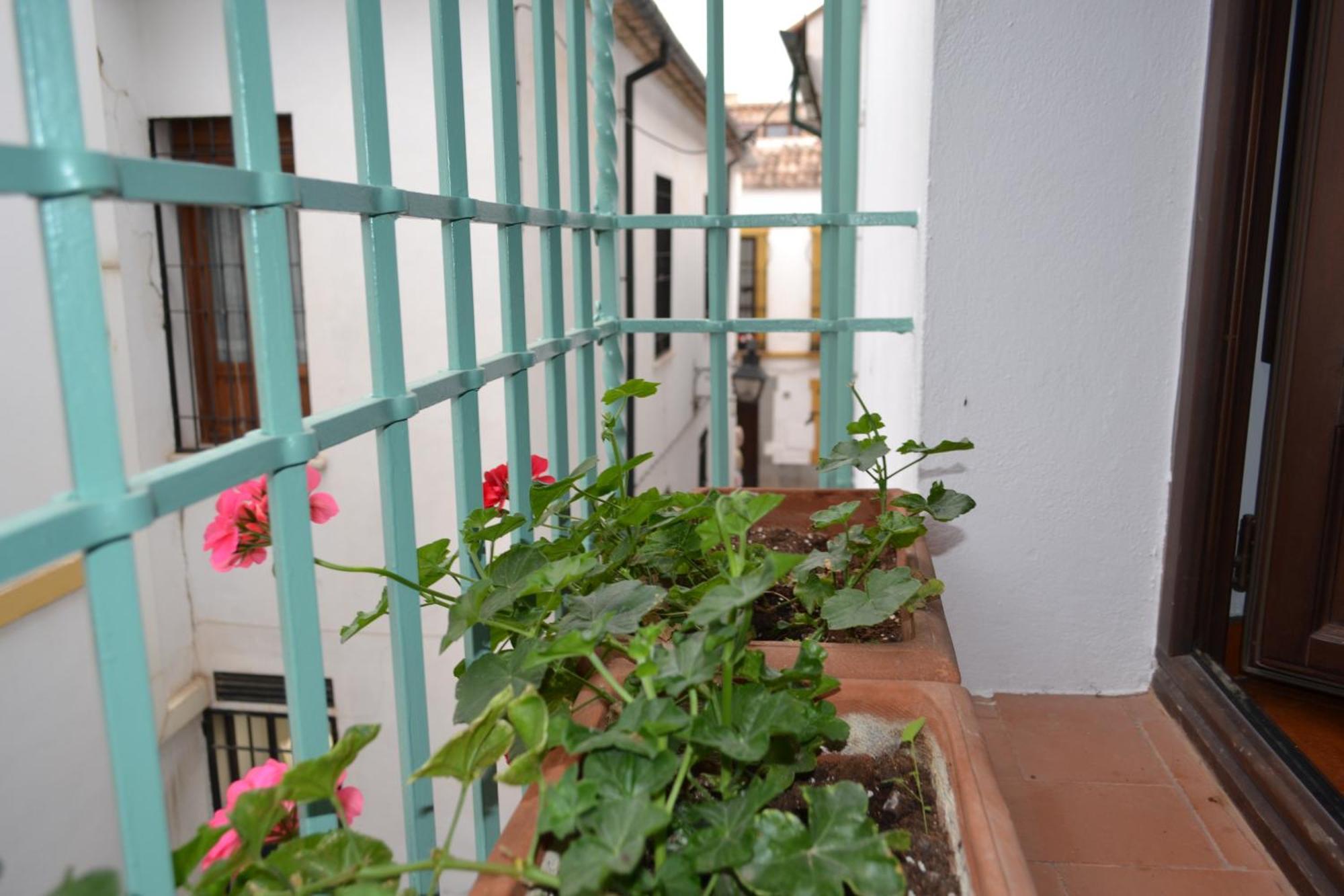 Sunshine Patio De La Hoguera Apartment Córdoba