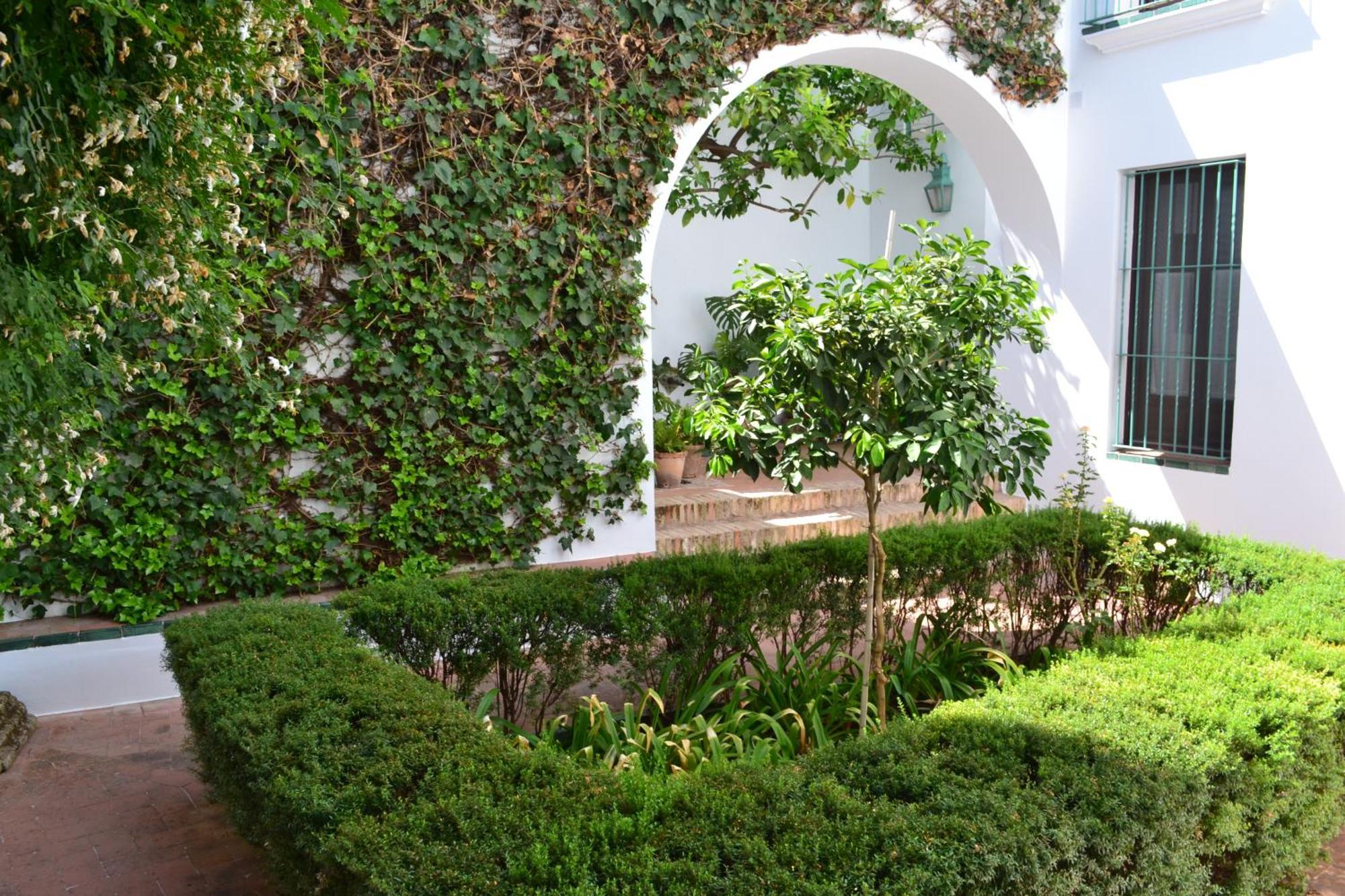 Apartment Sunshine Patio De La Hoguera *